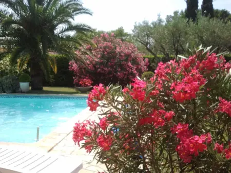 Maison chaleureuse à Orange avec piscine privée - Photo 5