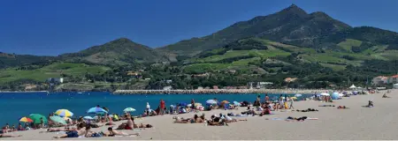 Maison conviviale à Argelès-sur-Mer avec piscine partagee 35 m² - Photo 10