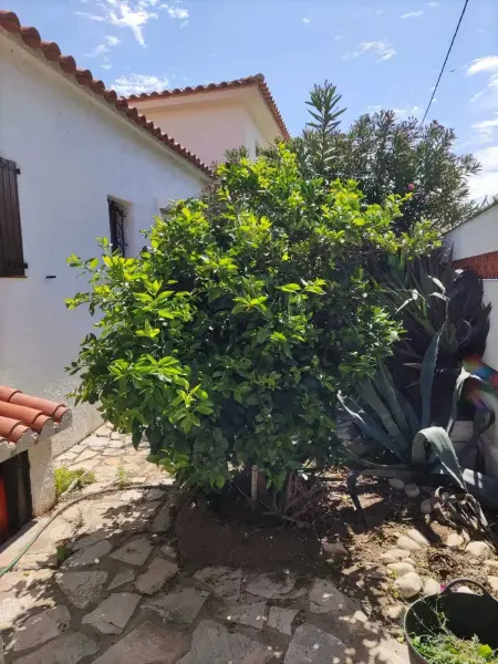 Villa charmante à L'Escala, piscine privée et vue sur mer - Photo 34