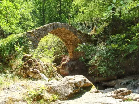 Maison conviviale à Peyrusse le Roc, avec jardin sans vis-à-vis - Photo 12