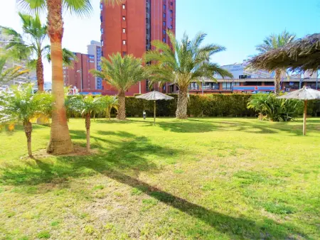 Appartement confortable à Benidorm 68 m² avec piscine partagée - Photo 16