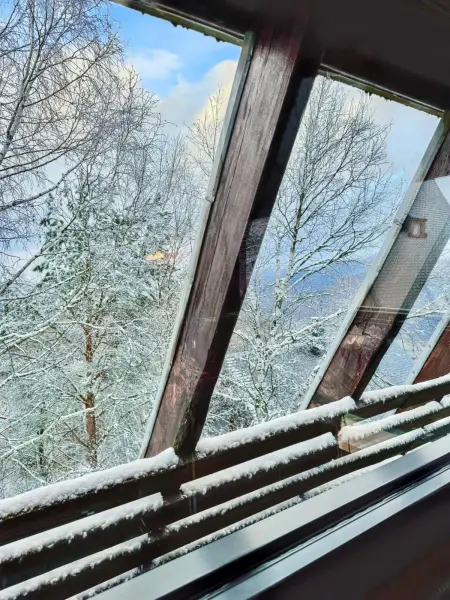 Chalet authentique à Saint-Lary-Soulan avec vue sur la montagne - Photo 17