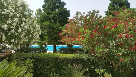 Maison spacieuse à Muro Leccese avec piscine partagée - Photo 18