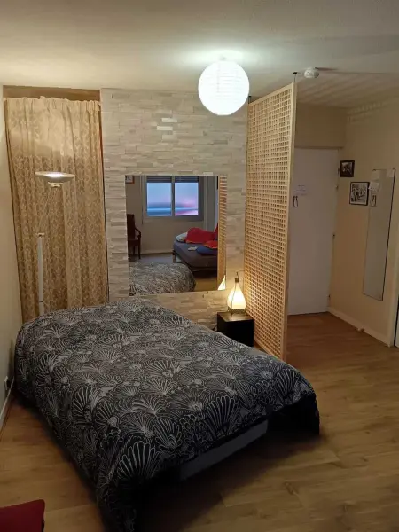Studio charmant à Clermont-Ferrand, 31 m², Appartement 3 personnes à Clermont Ferrand - Photo 1