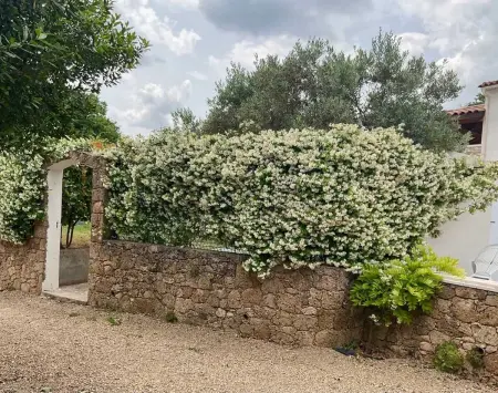 Villa charmante à Villecroze avec piscine privée - Photo 36