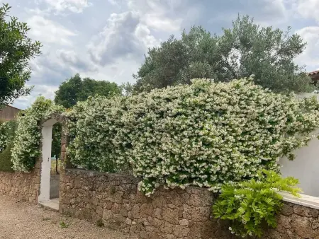 Villa charmante à Villecroze avec piscine privée - Photo 37