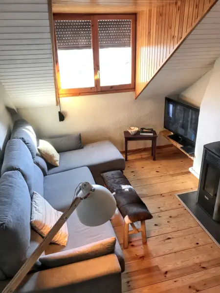 Appartement confortable à Benasque 45 m² avec piscine partagée - Photo 5