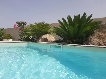 Villa élégante à Porto-Vecchio avec piscine privée - Photo 7