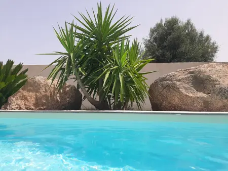 Villa élégante à Porto-Vecchio avec piscine privée - Photo 13