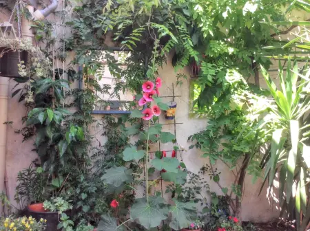 Maison charmante près d'Avignon avec terrasse, Maison 4 personnes à Avignon - Photo 20