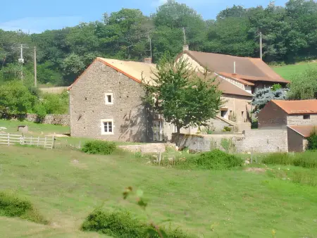 Maison charmante à La Vineuse avec jardin clôturé - Photo 12