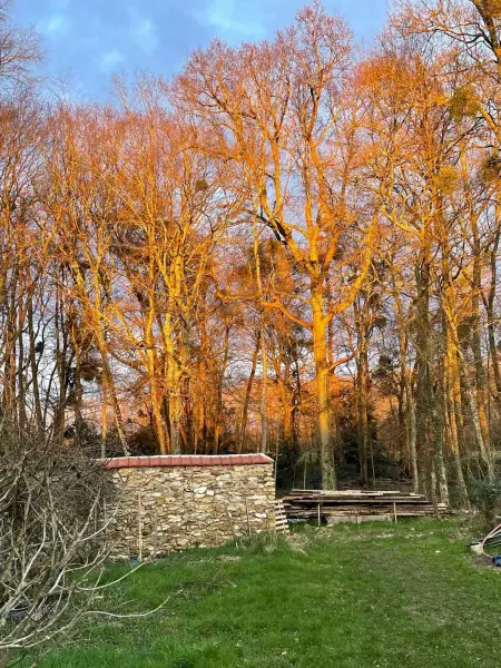 Maison spacieuse avec sauna à Héricy de 230 m² - Photo 19
