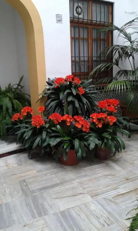 Appartement confortable dans le centre de Córdoba, 42 m², parking. - Photo 13