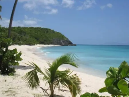 Studio agréable à Capesterre-de-Marie-Galante 25 m² vue mer - Photo 6