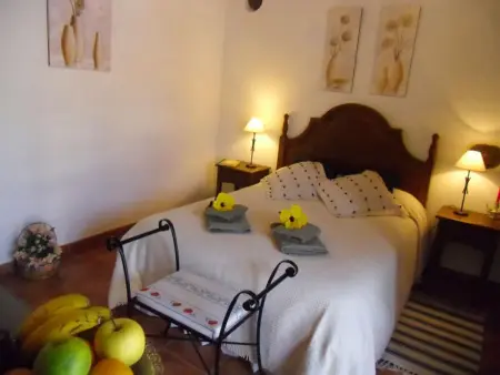 Appartement raffiné à San Cristóbal de La Laguna avec piscine – 35 m² - Photo 18