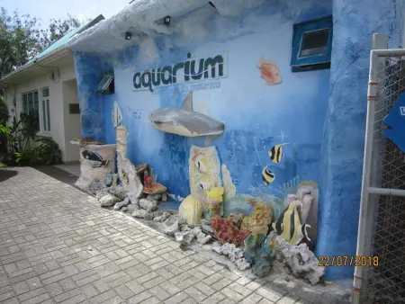 Maison spacieuse à Pointe aux Piments avec piscine partagée - Photo 33