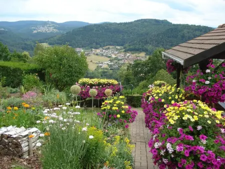 Maison charmante avec jardin à Haselbourg - Vue sur montagnes - Photo 1