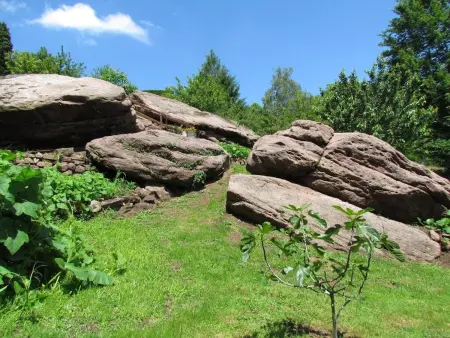 Maison charmante avec jardin à Haselbourg - Vue sur montagnes - Photo 21