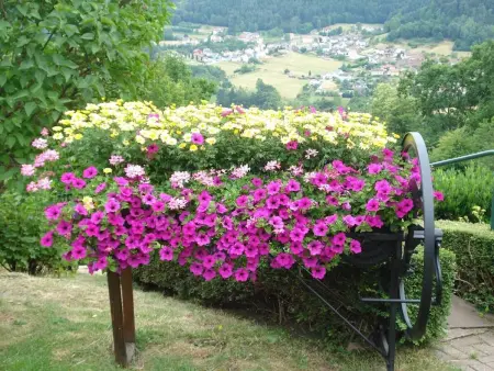 Maison charmante avec jardin à Haselbourg - Vue sur montagnes - Photo 25