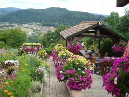 Maison charmante avec jardin à Haselbourg - Vue sur montagnes - Photo 26