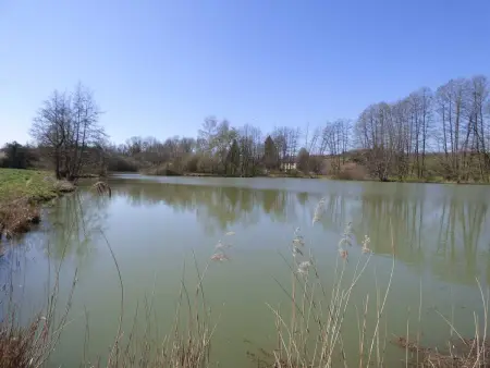 Retraite Champêtre Spacieuse près de Nouart avec Jacuzzi - Photo 16