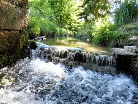 Retraite Champêtre Spacieuse près de Nouart avec Jacuzzi - Photo 17