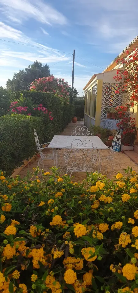 Studio en bord de mer à Sagres - 38 m² avec terrasse et jardin - Photo 10