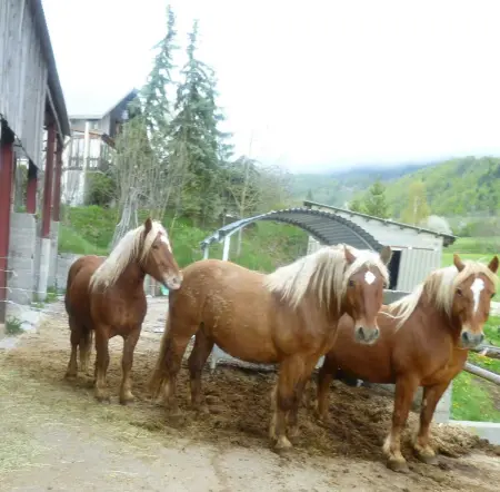 Maison de vacances confortable à Saint-Léger-les-Mélèzes, vue jardin - Photo 14