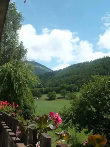 Maison de vacances confortable à Saint-Léger-les-Mélèzes, vue jardin - Photo 15