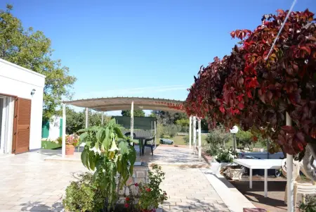 Maison charmante à Martina Franca + Jardin, Maison 7 personnes à Martina Franca - Photo 19