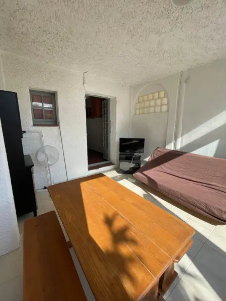Studio cosy à Linguizzetta 32 m² avec terrasse privée - Photo 2