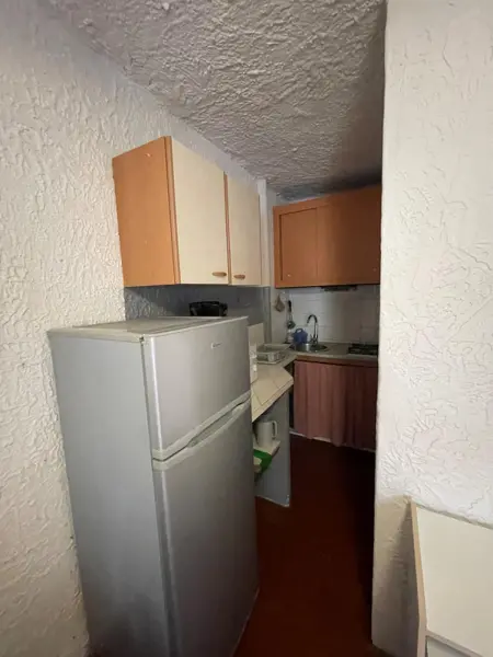 Studio cosy à Linguizzetta 32 m² avec terrasse privée - Photo 5