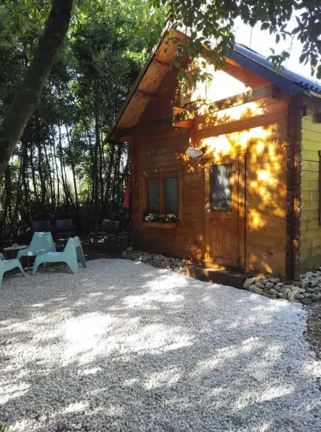 Chalet charmant près d'Orange avec piscine partagée - Photo 5