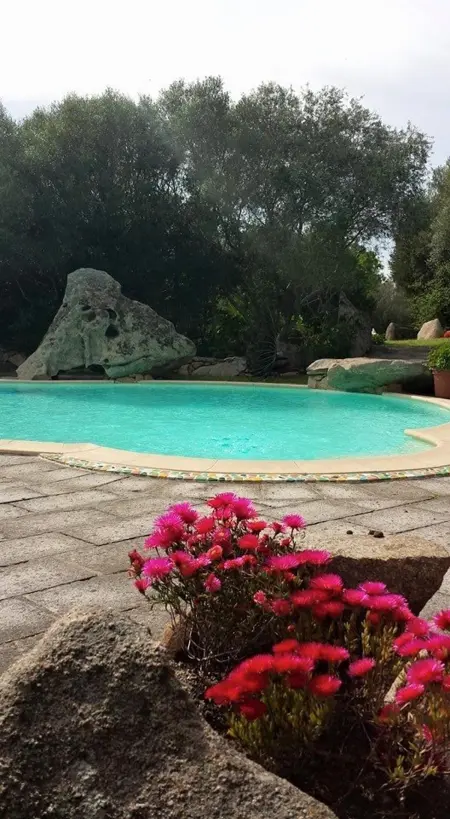 Studio cosy Porto Rotondo 35 m² + Piscine, Appartement 2 personnes à Porto Rotondo - Photo 22