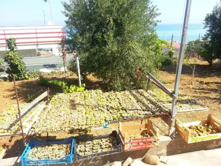 Appartement spacieux avec vue sur la mer à Castellammare del Golfo - Photo 34
