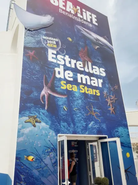 Appartement confortable à Benalmádena 60 m² avec piscine - Photo 28