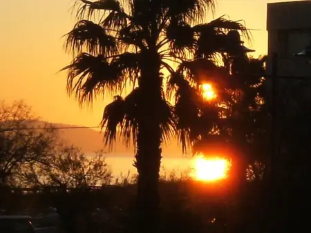 Studio confort à Hyères - 20 m² avec barbecue et terrasse - Photo 9