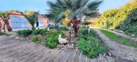 Studio confort à Hyères - 20 m² avec barbecue et terrasse - Photo 14