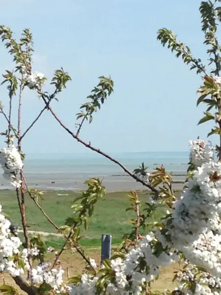 Maison spacieuse à Le Vivier-sur-Mer, proches des commodités - Photo 19