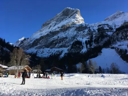 Appartement accueillant à Pralognan-la-Vanoise avec balcon et vue - Photo 30