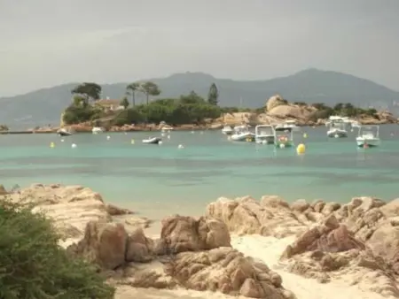 Maison charmante à Porticcio avec vue sur la mer et piscine - Photo 12