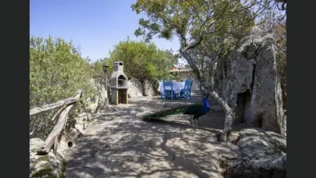 Villa avec vue sur la mer à Porto Rotondo + Piscine partagée. - Photo 11