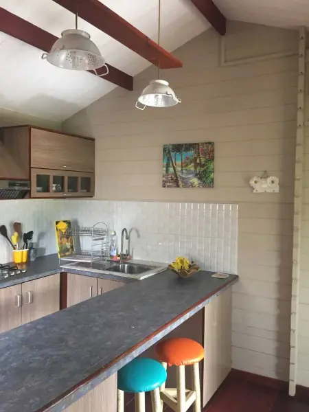 Maison charmante à Albion avec piscine partagée - Photo 87