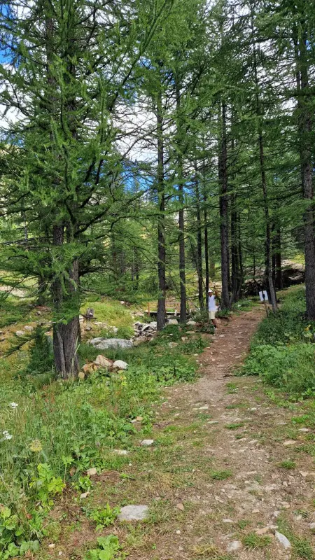 Studio avec vue imprenable sur la montagne à Isola, 25 m². - Photo 41