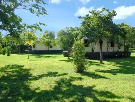 Bungalow confortable à Santa-Lucia-di-Moriani 38 m² jardin spacieux - Photo 6