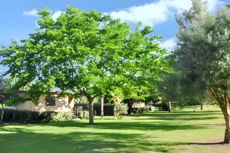 Bungalow confortable à Santa-Lucia-di-Moriani 38 m² jardin spacieux - Photo 13