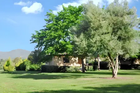 Bungalow confortable à Santa-Lucia-di-Moriani 38 m² jardin spacieux - Photo 16