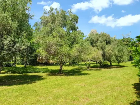 Bungalow confortable à Santa-Lucia-di-Moriani 38 m² jardin spacieux - Photo 20