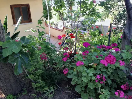 Maison accueillante à Vibo Valentia avec piscine partagée - Photo 39