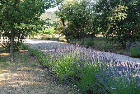 Évasion Provençale : Villa Élégante pour 10 Personnes - Photo 25